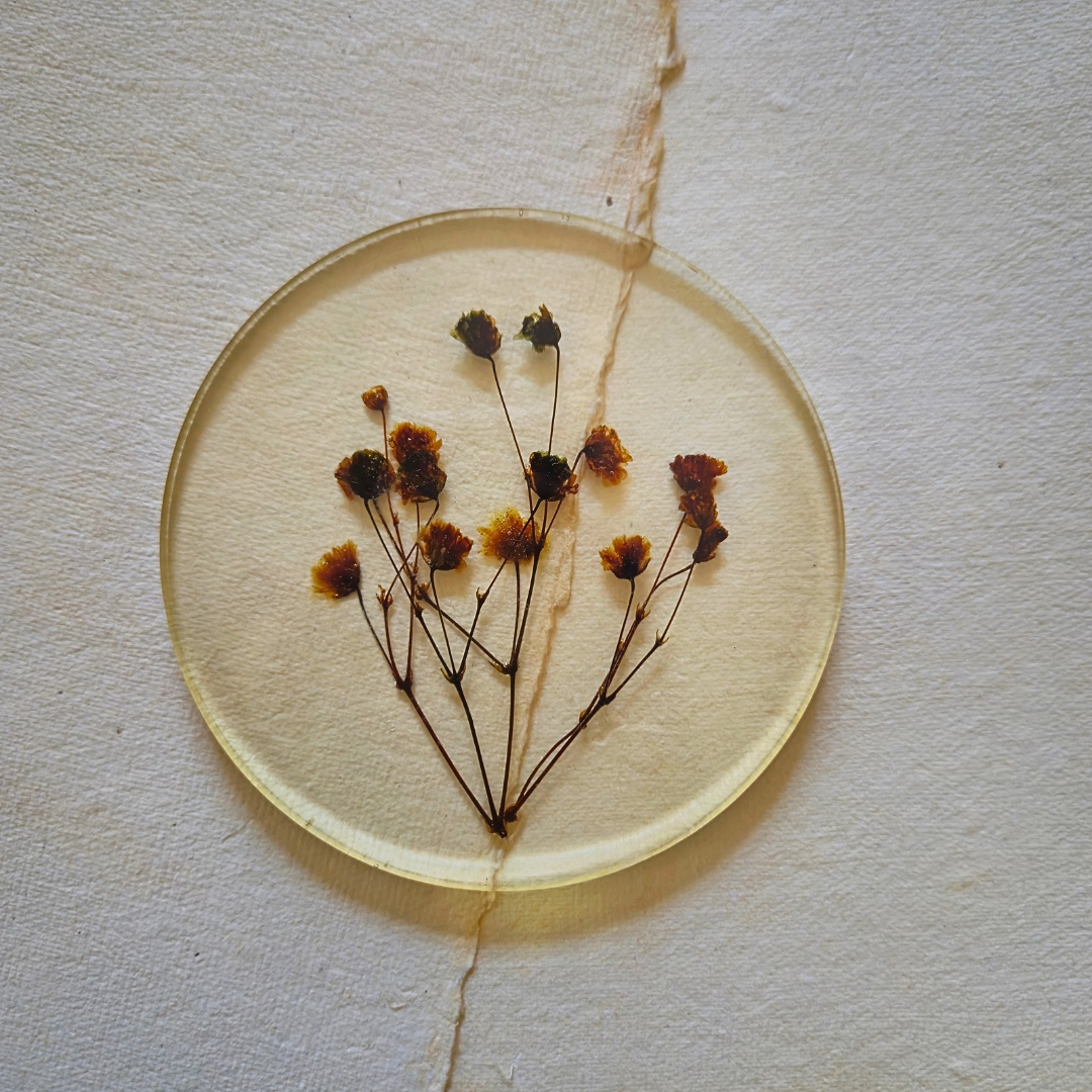 Green gypsy resin coasters