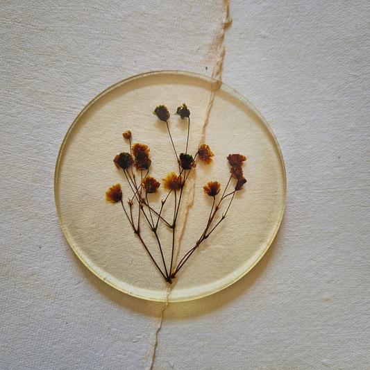 Green gypsy resin coasters