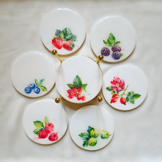 Fruits resin coasters