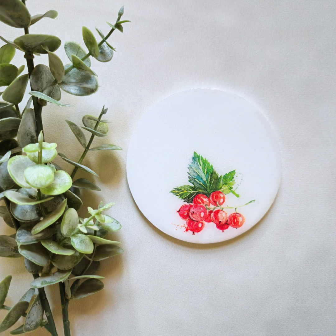 Fruits resin coasters