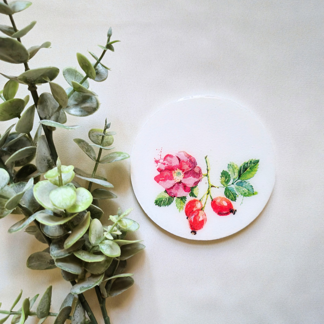 Fruits resin coasters
