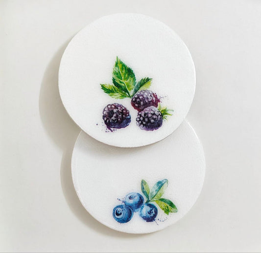 Fruits resin coasters