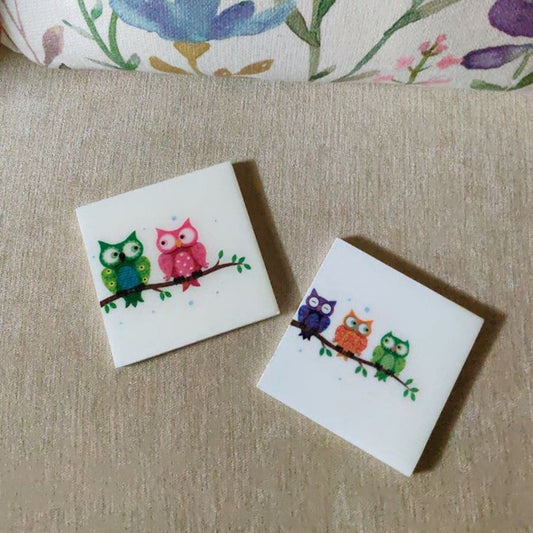 Owl resin coasters